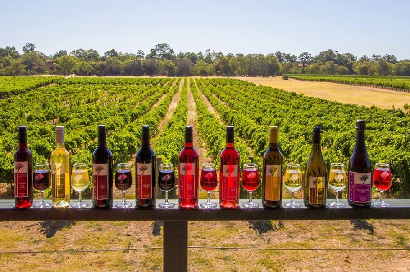 Wines of Swan Valley